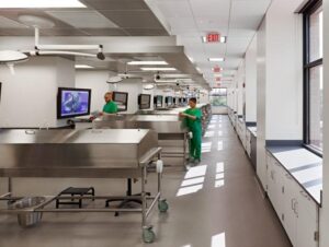 Medical professionals in scrubs work at lab stations in a bright, modern facility with large windows and overhead screens.