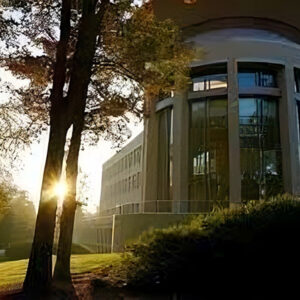 A modern building with large windows is surrounded by trees, illuminated by sunlight in the early morning or late afternoon.