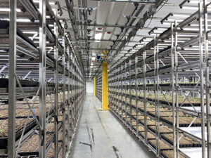 Vertical farming shelves with young plants growing under LED lights in an indoor facility.